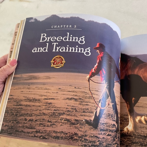 Budweiser Coffee Table Book - The Great American Tradition - Picture 12 of 15